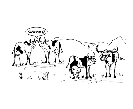 zoo humour - cartoon  016.jpg