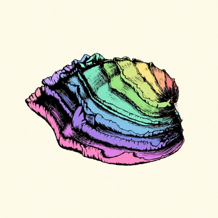 Venus Shell Rainbow Colour copy.psd