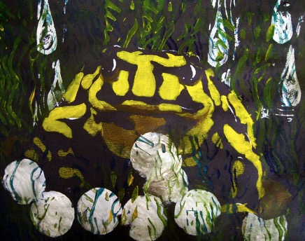 Australian Corroboree Frog in the Rain 395.png