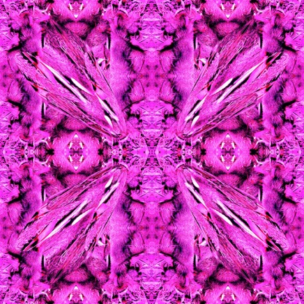 banksias pattern pink 3708.jpg