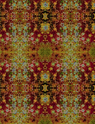 we're Turning into Stars 1.jpg