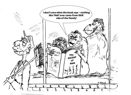 zoo cartoons027.jpg