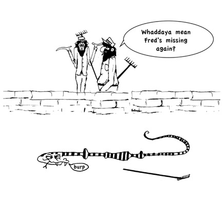 zoo humour - cartoon 005.jpg