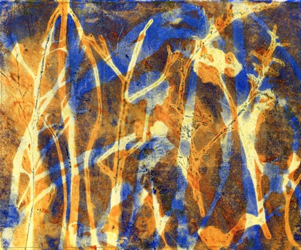 Native Grasslands Biodiversity 02B Monoprint 720001