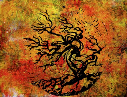 Old and Ancient Tree Autumn Shades