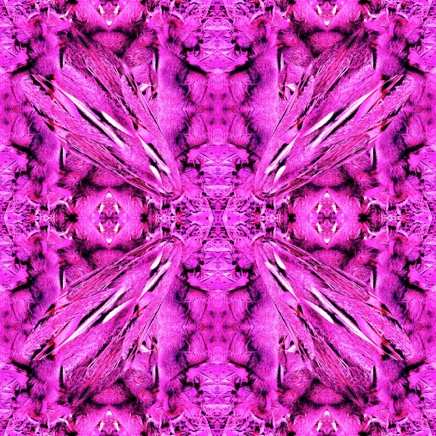 banksias pattern pink 3708.jpg