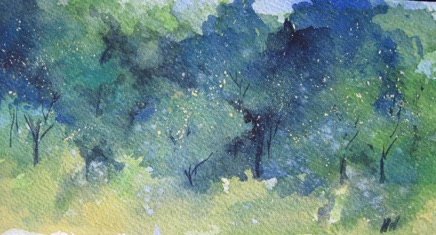 Tree Series Trees in the Orchard 2 original IMG_6145.jpg