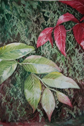 Tropical Foliage 100_2503.JPG