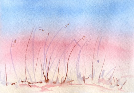 Sand Dune grasses at dusk.png