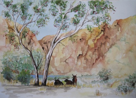 Afternoon Shade IMG_5551.png