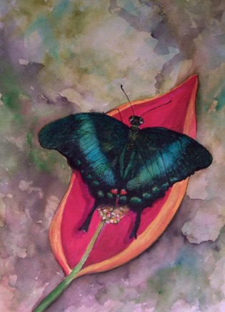 Butterfly 100_3119.JPG.jpg