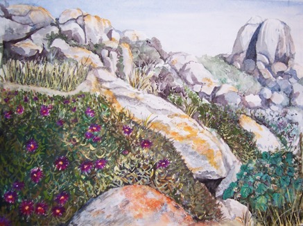 Coastal Rocks 100_2374.png