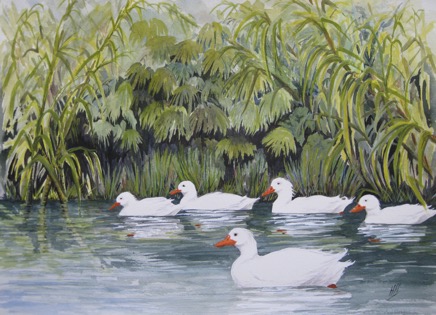 Duckies Day Out 0 IMG_7680.png