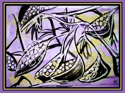 Seed Pods 100_2781.JPG.png