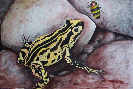 Frog and Jewel Beetle 100_3078.png